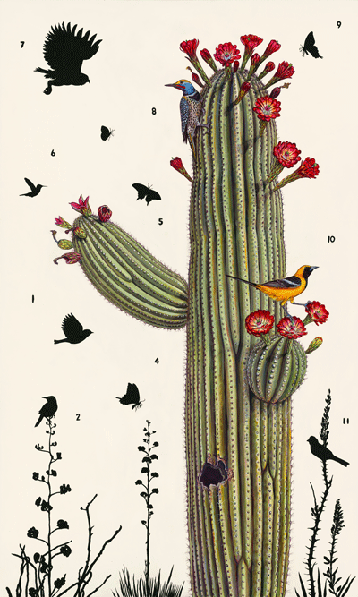James Prosek, Sonoran Desert No. 1, 2022. Watercolor and acrylic on panel, 60 x 36 inches. Image courtesy of the artist. 