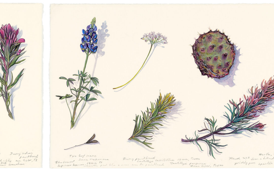 James Prosek: At Work