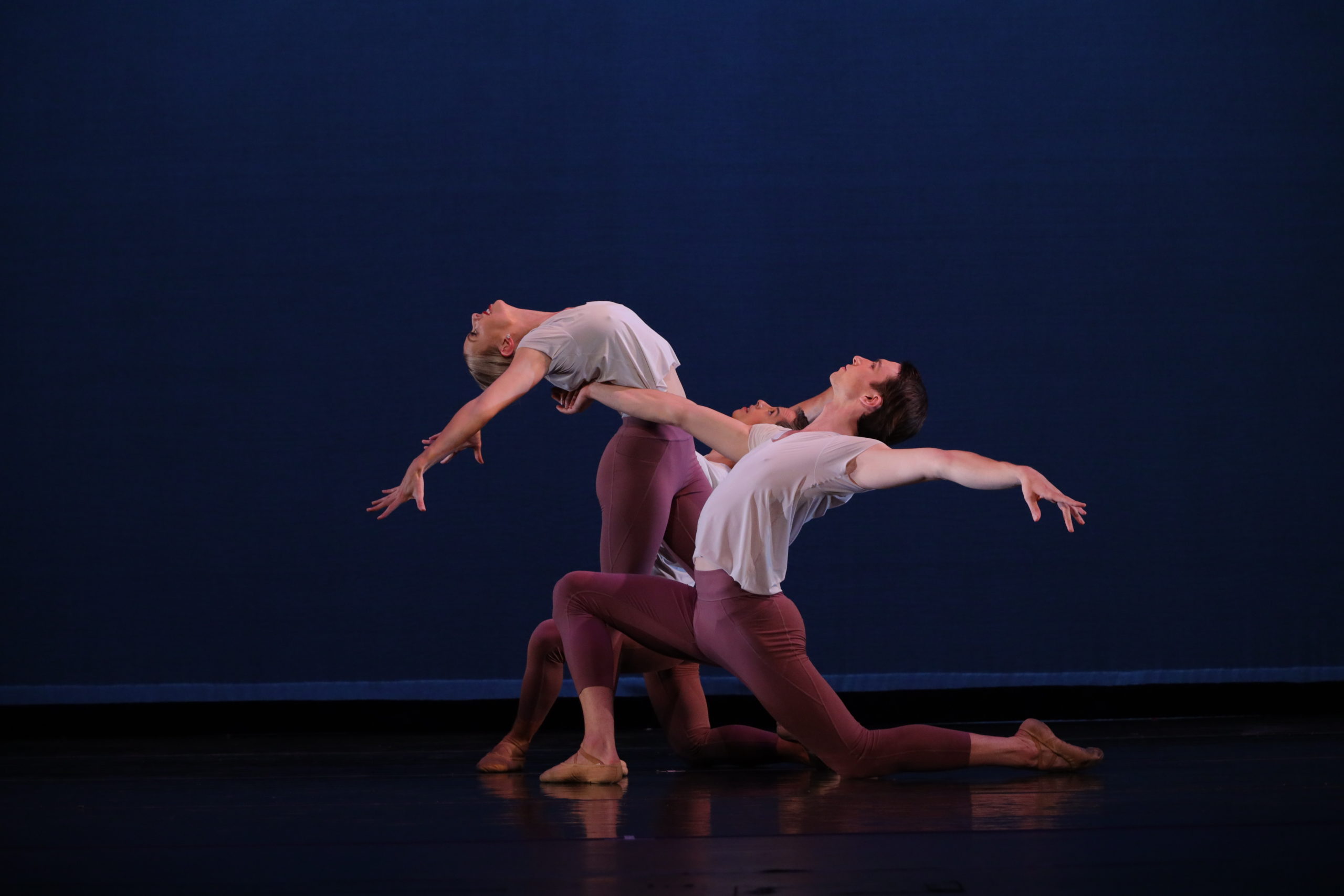 Ballet Vero Beach Ballet Vero Beach