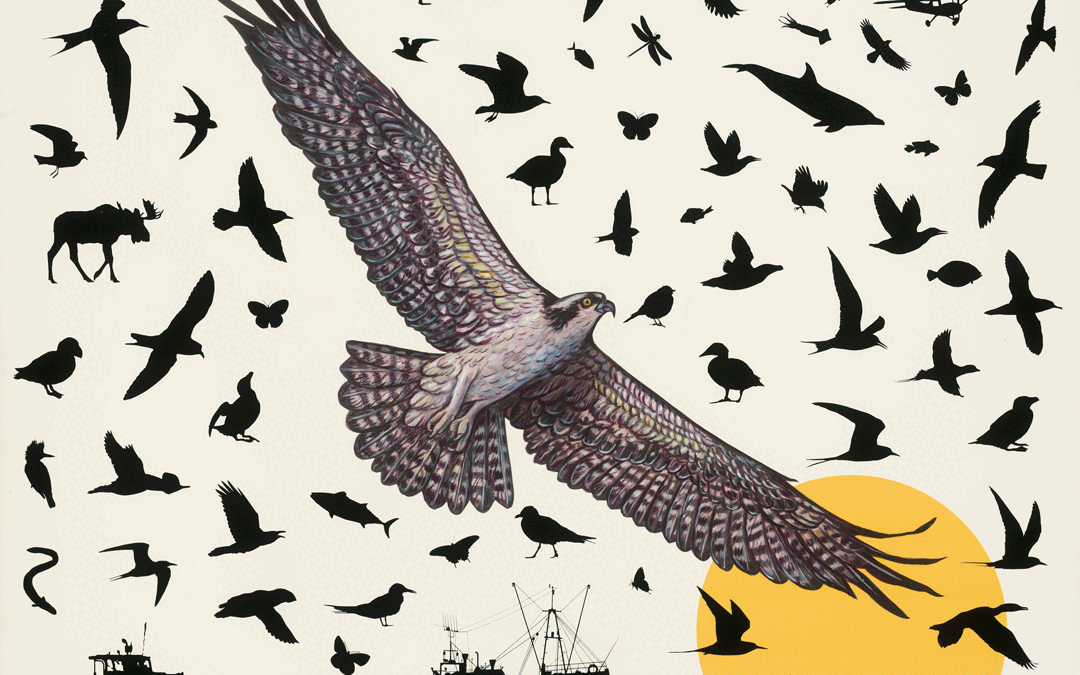 James Prosek: At Work