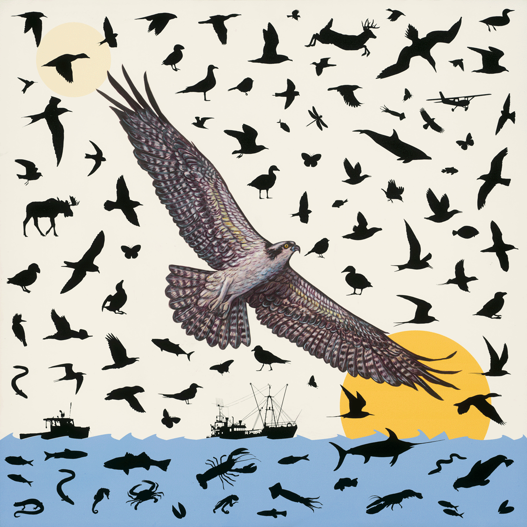 James Prosek: At Work