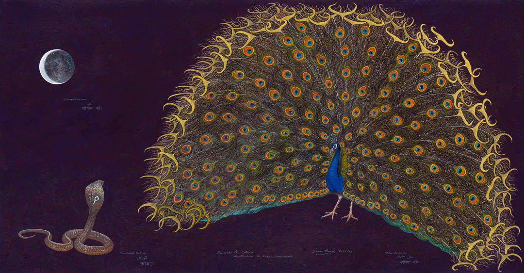James Prosek, Peacock and Cobra, 2013. Watercolor, gouache, colored pencil, graphite, and powdered mica on tea-stained paper, 65 x 120 inches. Image courtesy of the artist. 