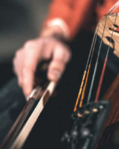Strings Close Up